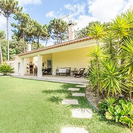 Alecrim Aroeira (Setubal)