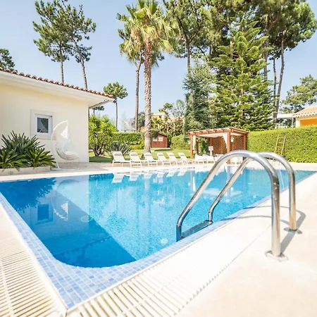 Alecrim Aroeira (Setubal)