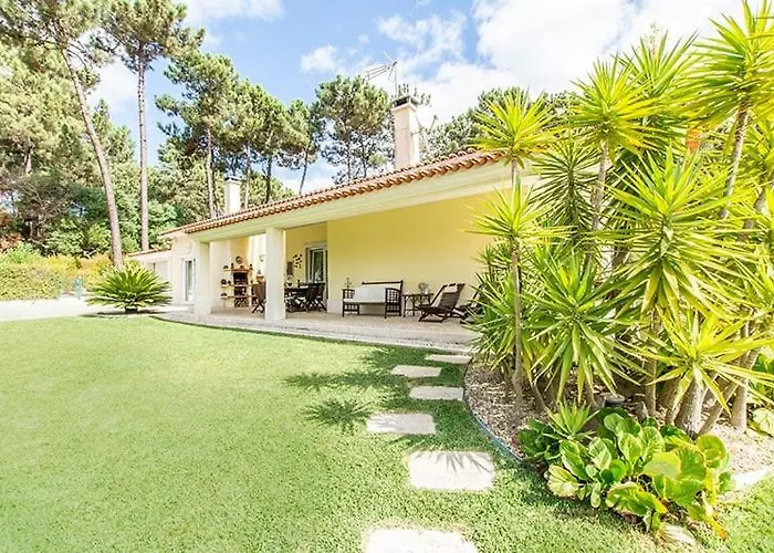 Alecrim Aroeira (Setubal)